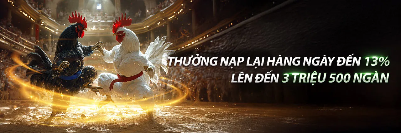 Đá gà trực tuyến kịch tính tại 555win55 Nổ Hũ